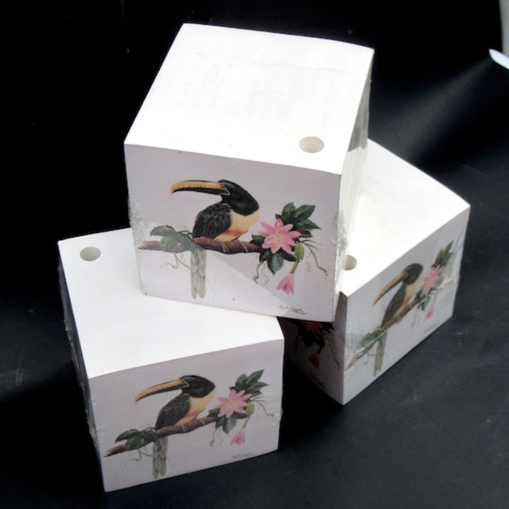 Black-Necked Aracari Paper Cube. TG